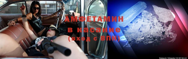 крисы Надым