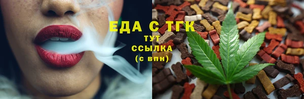 крисы Надым