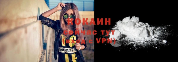 крисы Надым