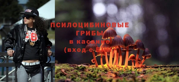 амф Навашино