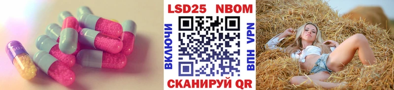 дарк нет официальный сайт  Новосиль  ЛСД экстази ecstasy 