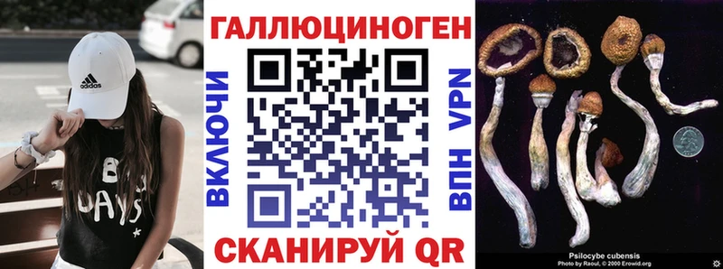 ссылка на мегу рабочий сайт Новосиль Галлюциногенные грибы Psilocybine cubensis